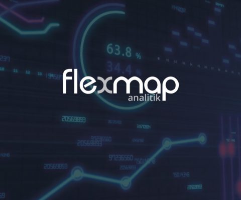 FlexMap Analitik