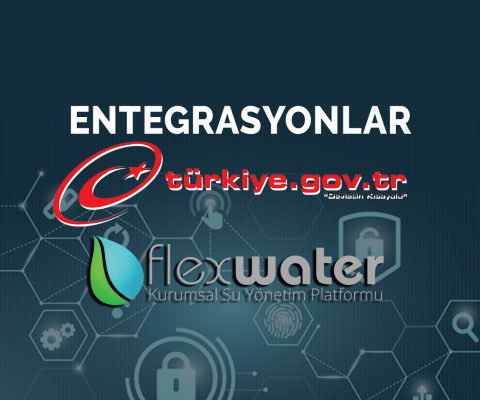 E-Devlet Entegrasyonları