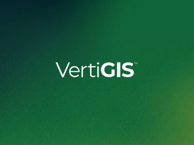 VertiGIS Networks