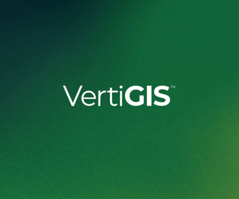 VertiGIS Networks